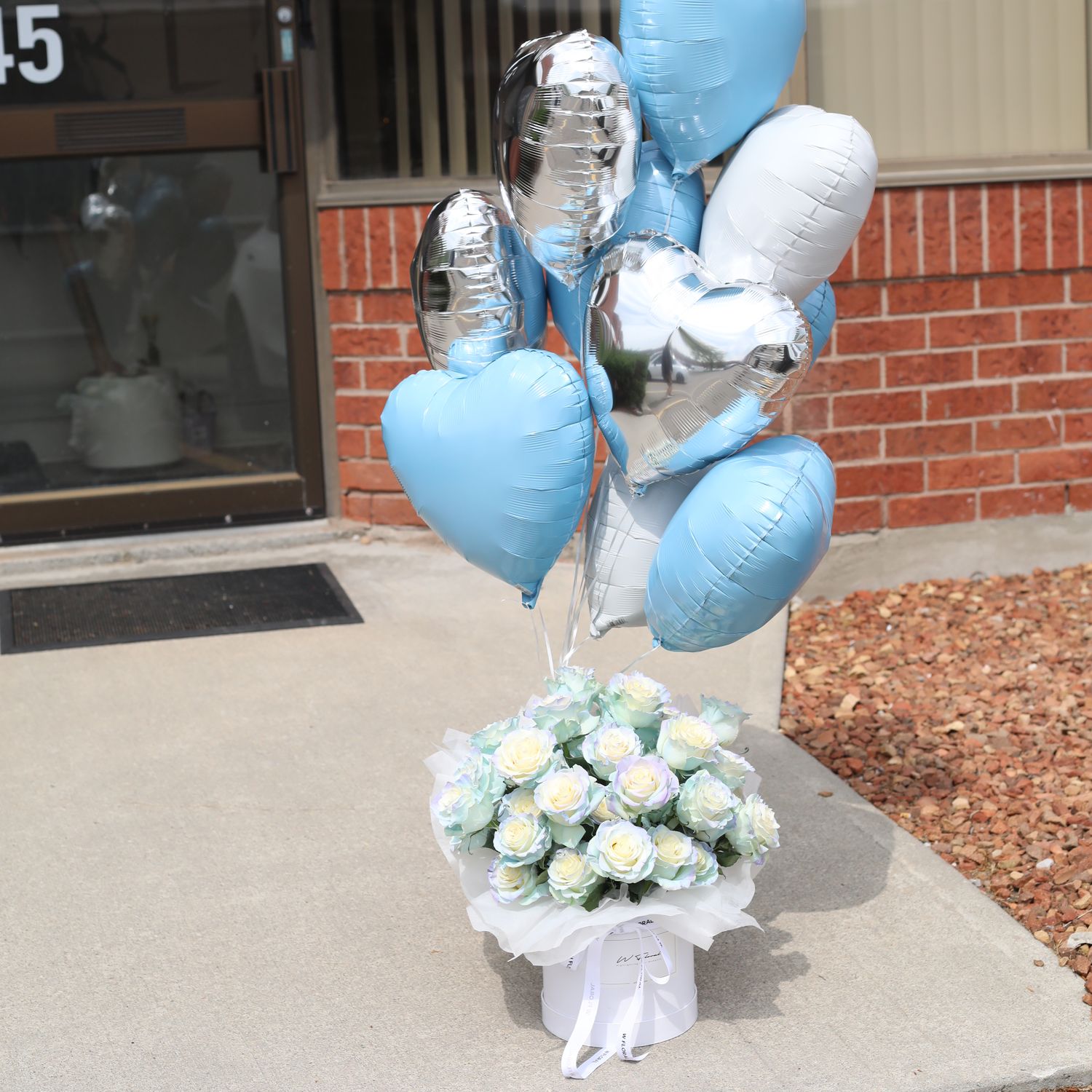 Fancy Hug Stellalou Rose