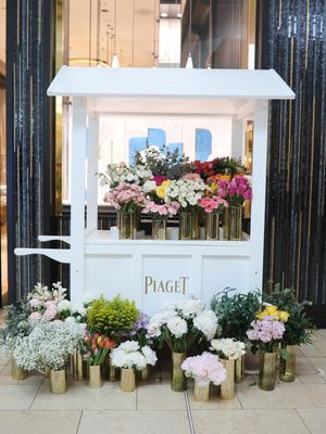 Piaget
