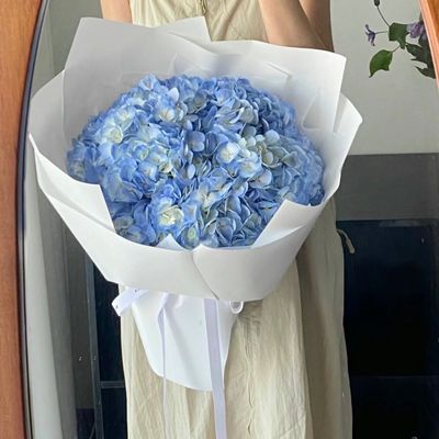 International Women's Day