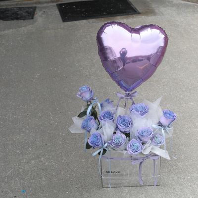 Whisper of Love Blue Lavender Rose