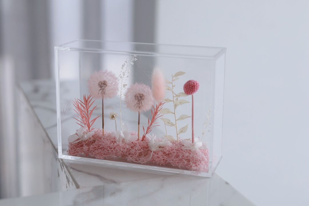 Preserved Flower - Dandelion Garden - Pink