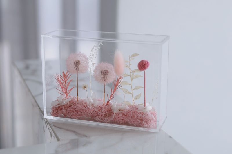 Preserved Flower - Dandelion Garden - Pink
