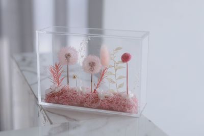 Preserved Flower - Dandelion Garden - Pink