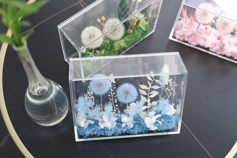 Preserved Flower - Dandelion Garden - Blue