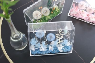 Preserved Flower - Dandelion Garden - Blue