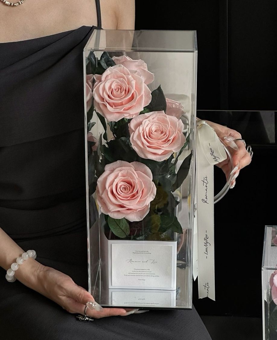Preserved Rose - Carry My Love - Peach Pink Rose