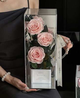 Preserved Rose - Carry My Love - Peach Pink Rose