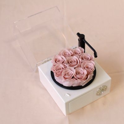 Preserved Rose - Mini Melody Bloom Bluetooth Speaker - Lotus Pink