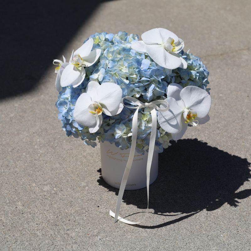 Celeste Bloom Hydrangeas and Orchids Hug