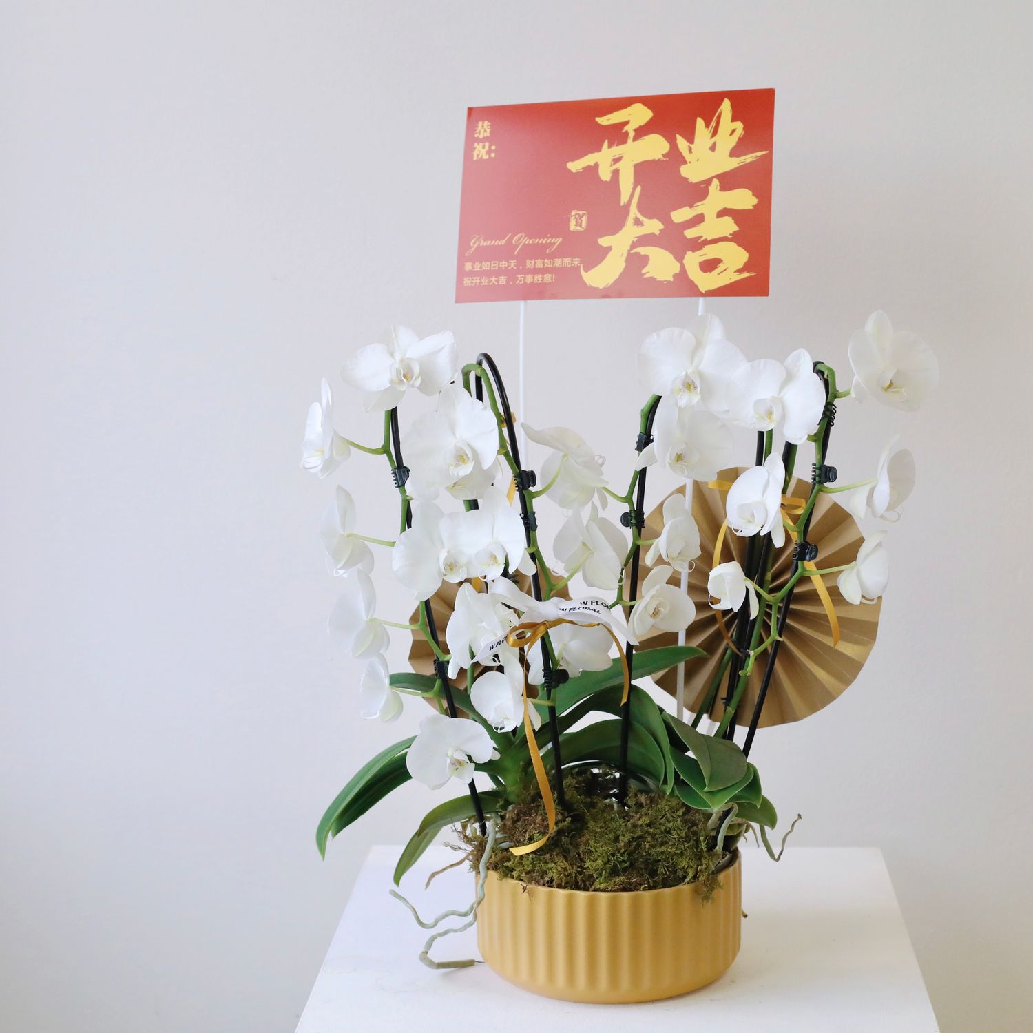 Prosperous Elegance White Phalaenopsis Orchid Arrangement