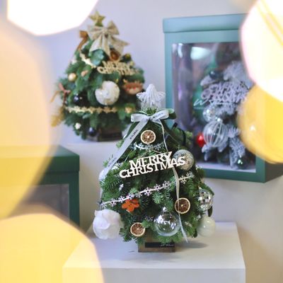 W Signature Nordic Fresh Tabletop Christmas Tree - Arctic Green