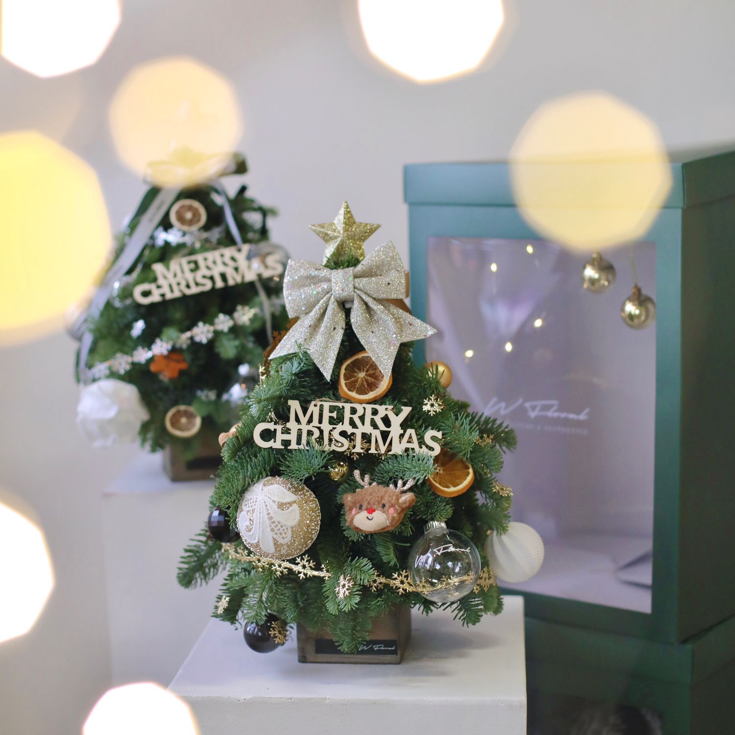 Nordic Fresh Tabletop Christmas Tree Workshop