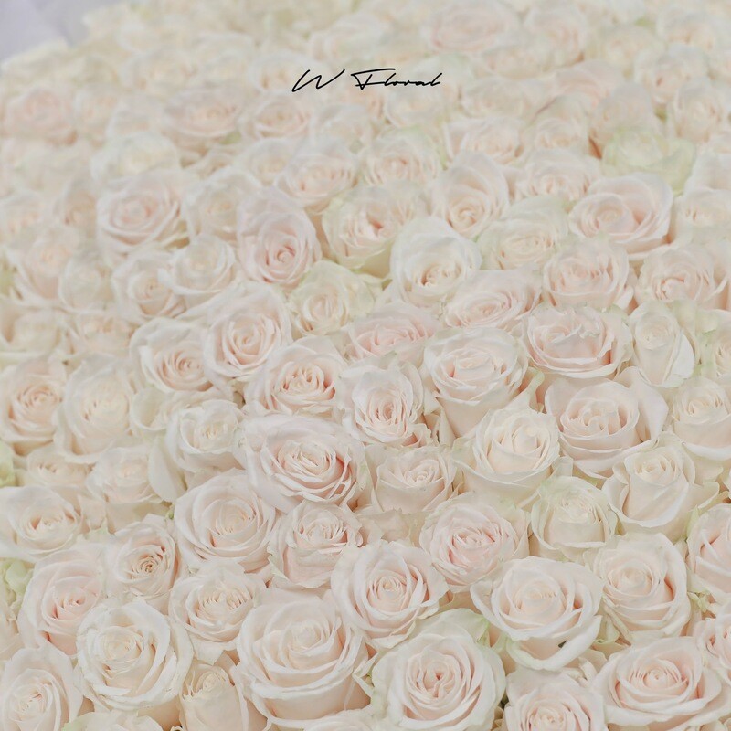 Luxury white rose bouquet wrapped in elegant chiffon fabric