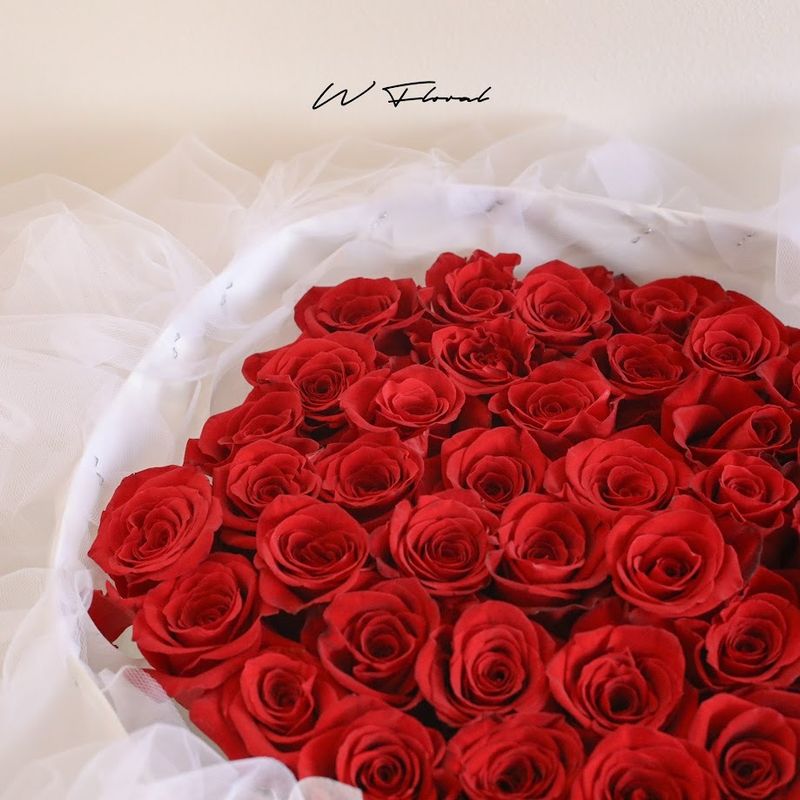 Elegant luxury red rose bouquet with delicate chiffon wrapping