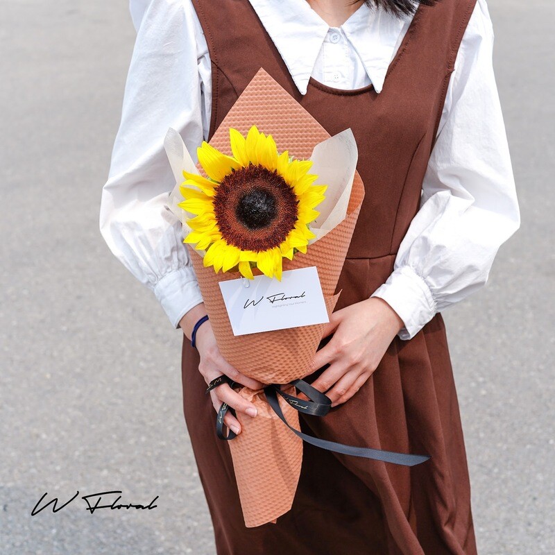 Mini Cone Sunflower
