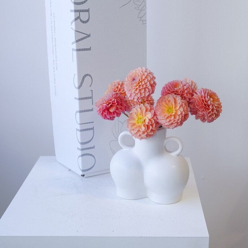 Bi-weekly mono flower subscription with coral dahlias Toronto