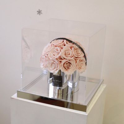 Mushroom-shaped preserved flower gift in soft dusty pink tones