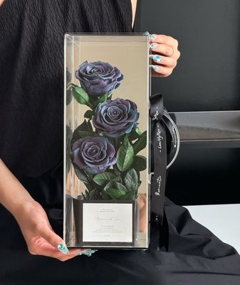 Preserved Rose - Carry My Love - Galaxy Rose