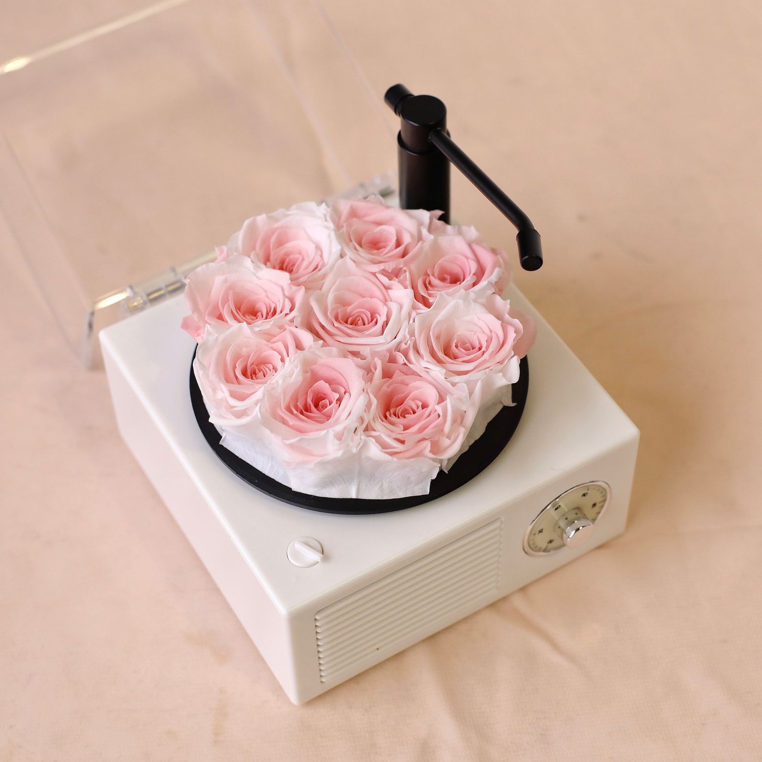 Preserved Rose - Mini Melody Bloom Bluetooth Speaker - Pink and White