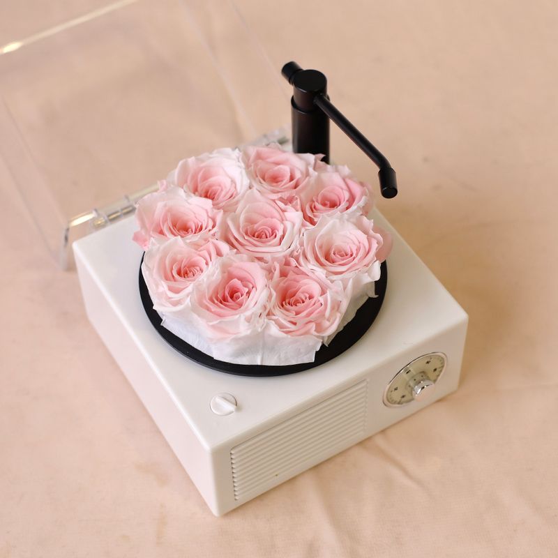 Preserved Rose - Mini Melody Bloom Bluetooth Speaker - Pink and White
