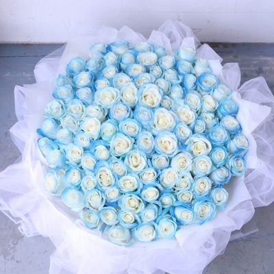Elegant hand spray-tinted blue rose bouquet in a full grand style
