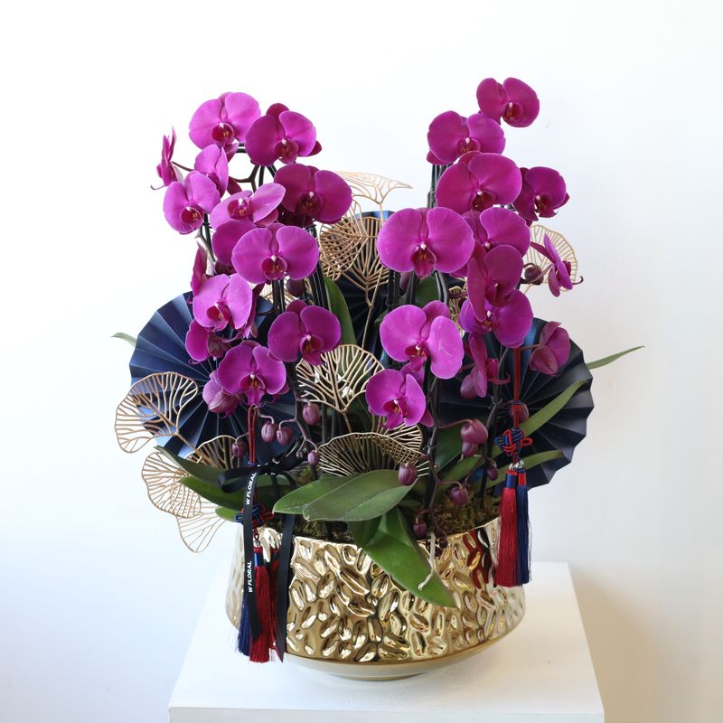 Eightfold Blessing Cascading Big Orchid Fortune Gold Pot - Purple