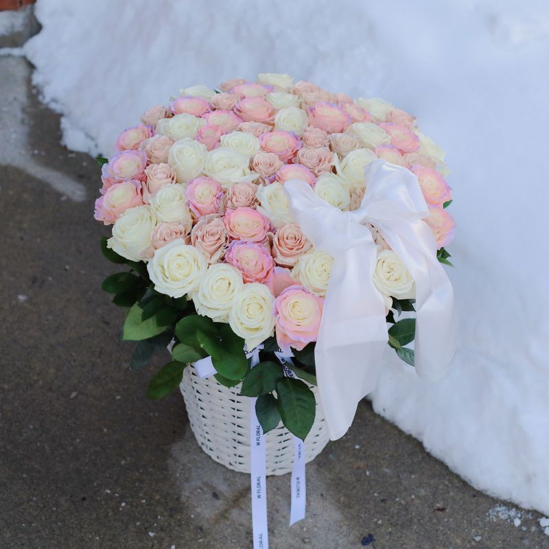 Lumiere Hug - Pearl Pink - Valentine's Day 2026