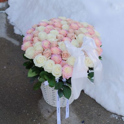 Lumiere Hug - Pearl Pink - Valentine's Day 2026