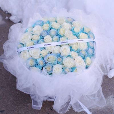 Chiffon Rose - Bluelight Kiss - Valentine's Day 2026