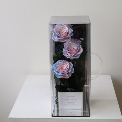 Colourful preserved flower gift in dreamy Mermaid colours