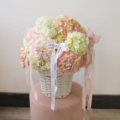 Blush Garden Hydrangea Basket