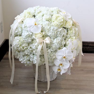 Lumiere Basket White Hydrangea Meringue
