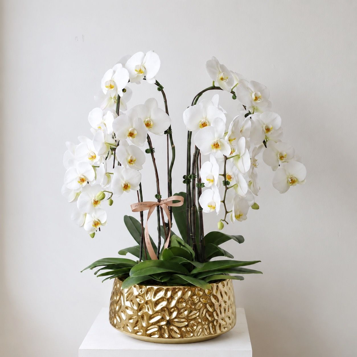 Cascading white orchid arrangement with six Phalaenopsis stems