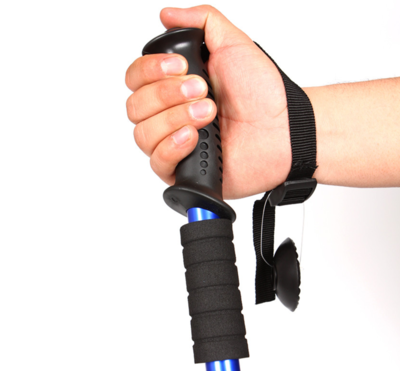 Trek Poles