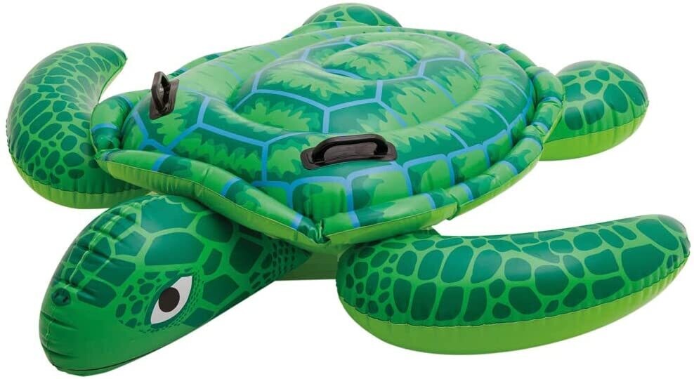 Pool Turtle Float