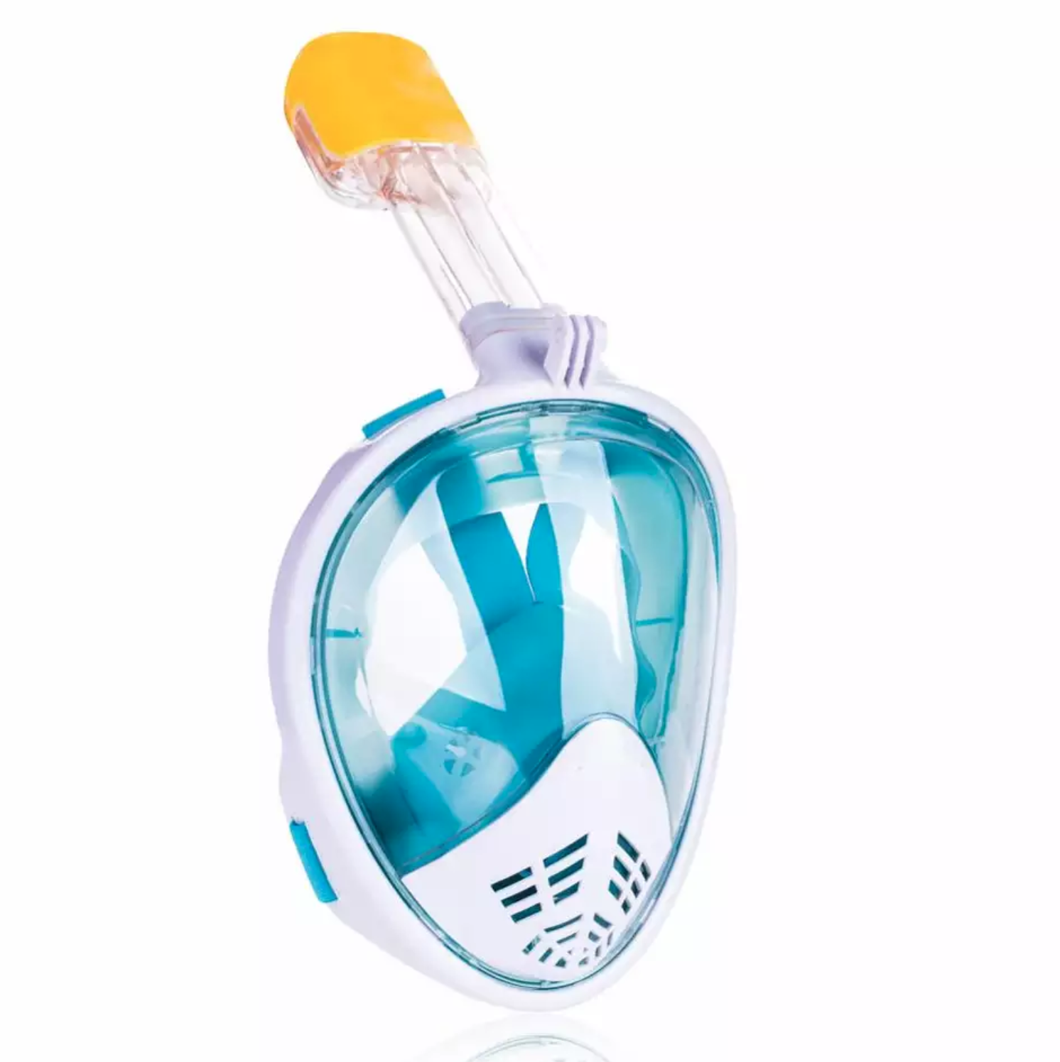 Snorkel Face Mask