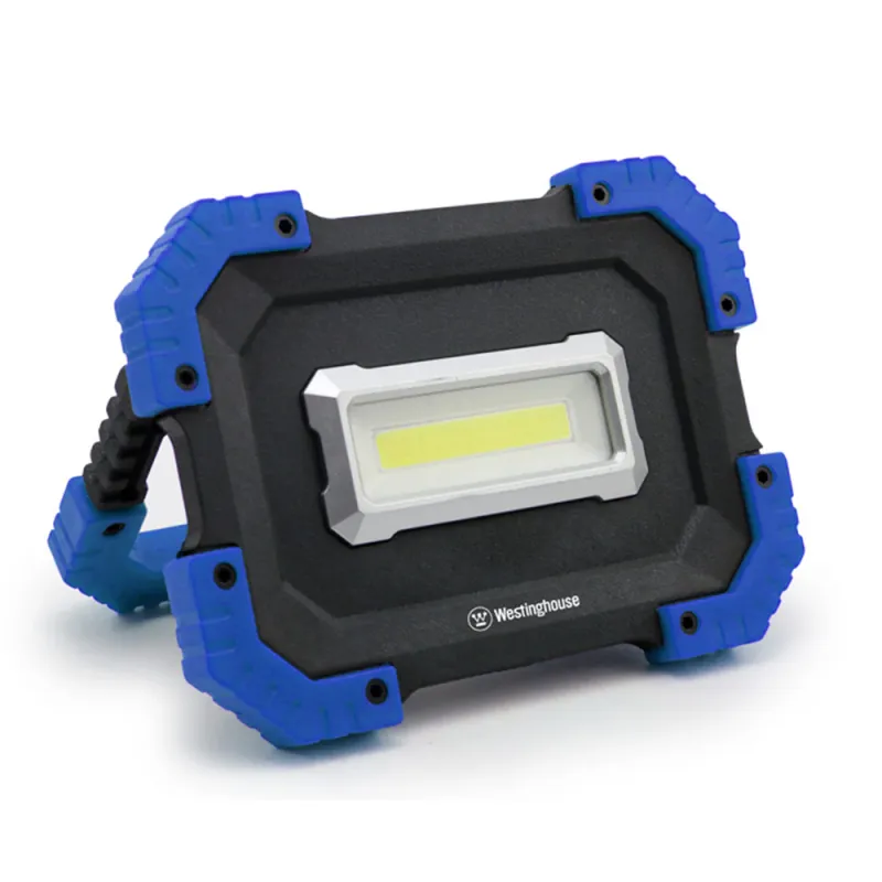 Multi-Function Light