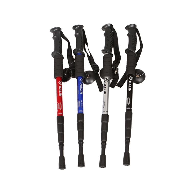 Trek Poles