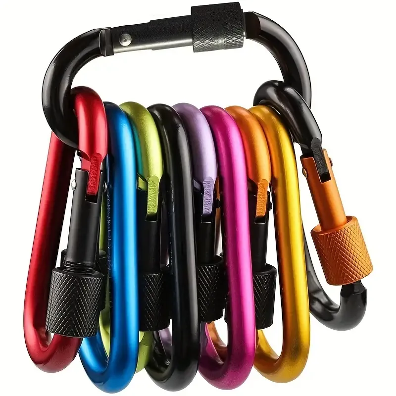 Carabiner Lock