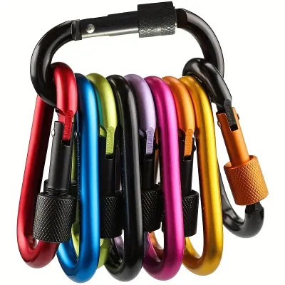 Carabiner Lock