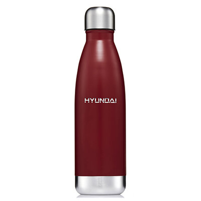 Mirror Finish Hydro Soul Bottles