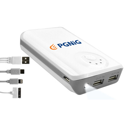 The Wexford 4200 Power Bank