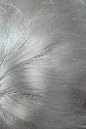 Invisible Skin, Colour: 60RY - White