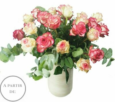 Roses "Couleurs" 50 cm