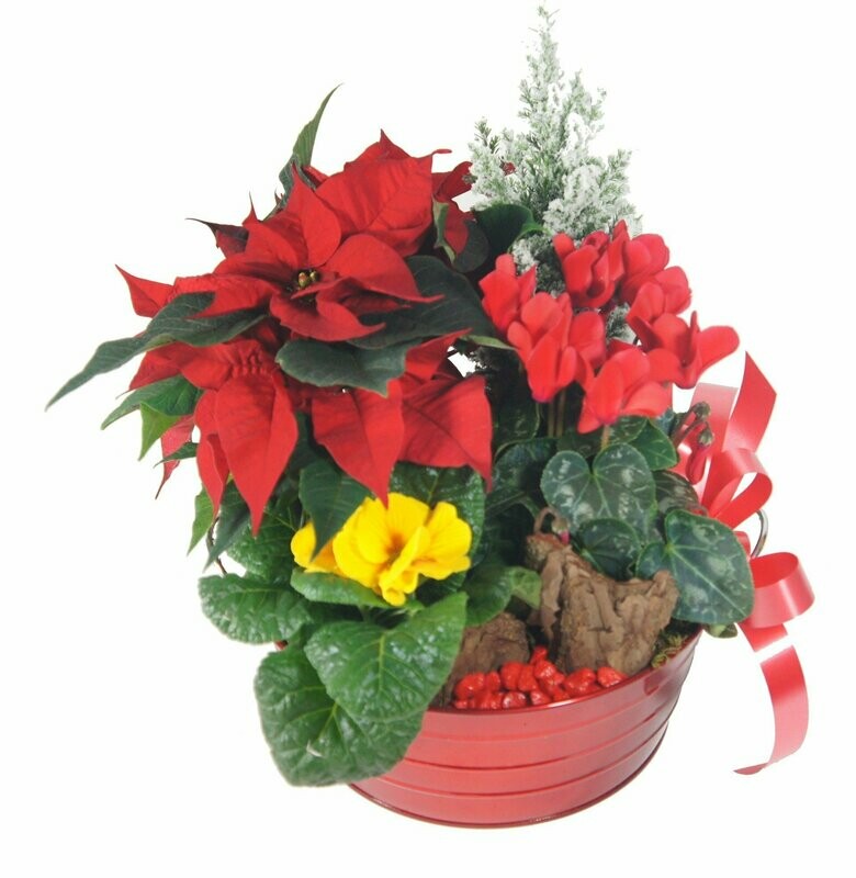 Jardin de plantes - Boucle d'Or