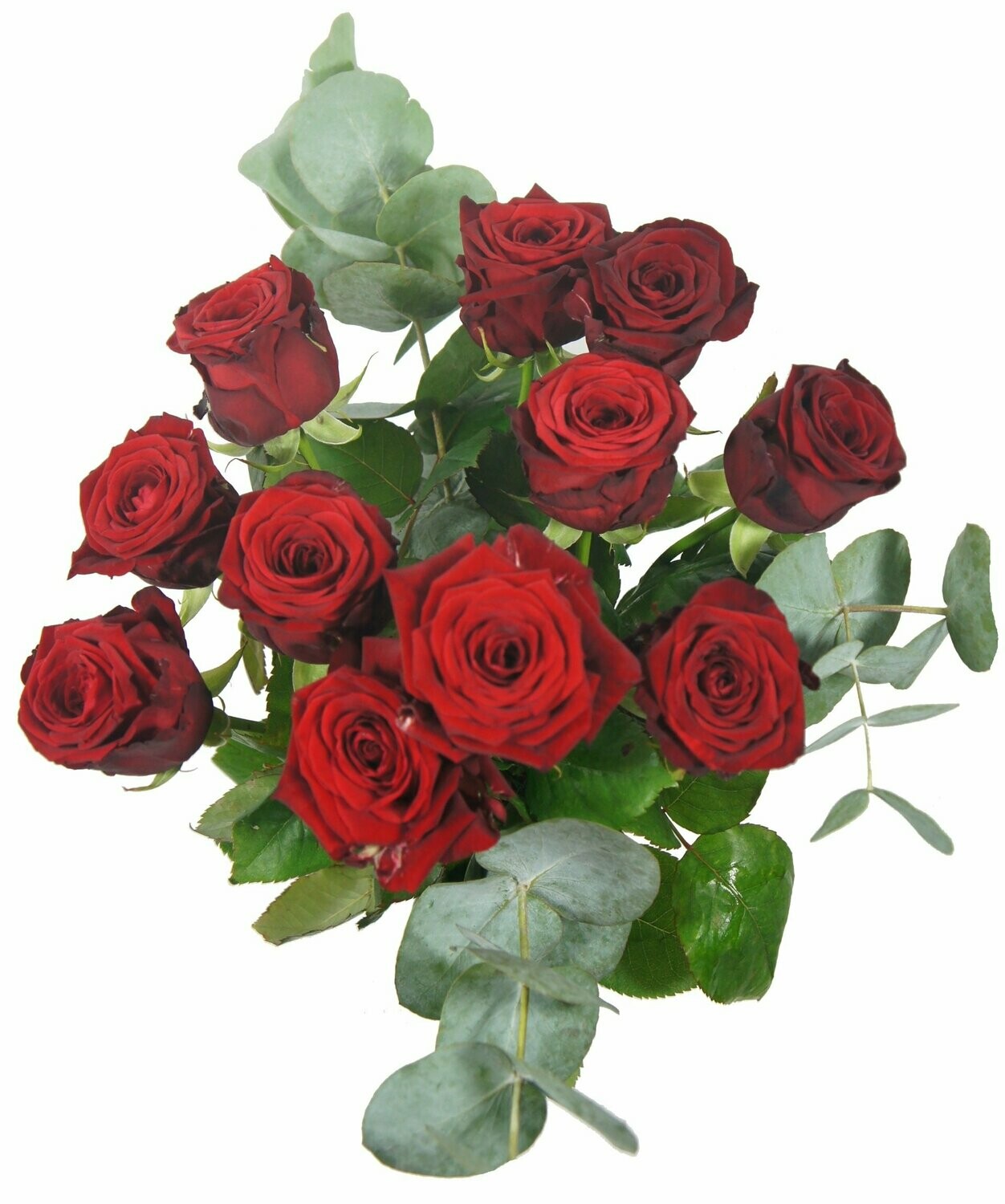 Roses Rouges 60 cm