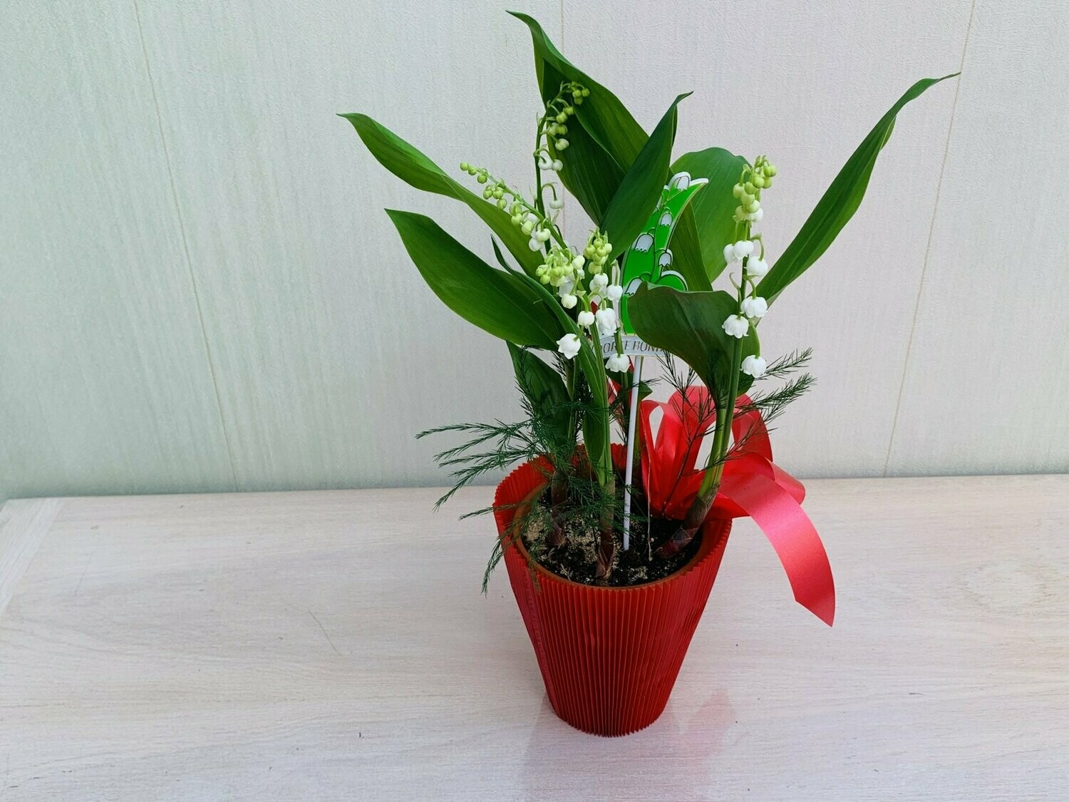 Le Pot de Muguet
