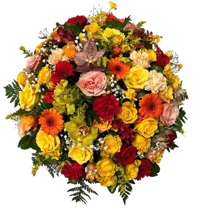 Panier rond: Humaniste