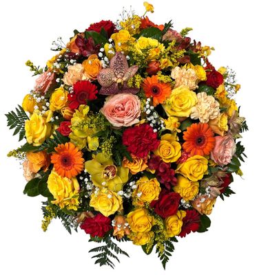 Panier rond: Humaniste