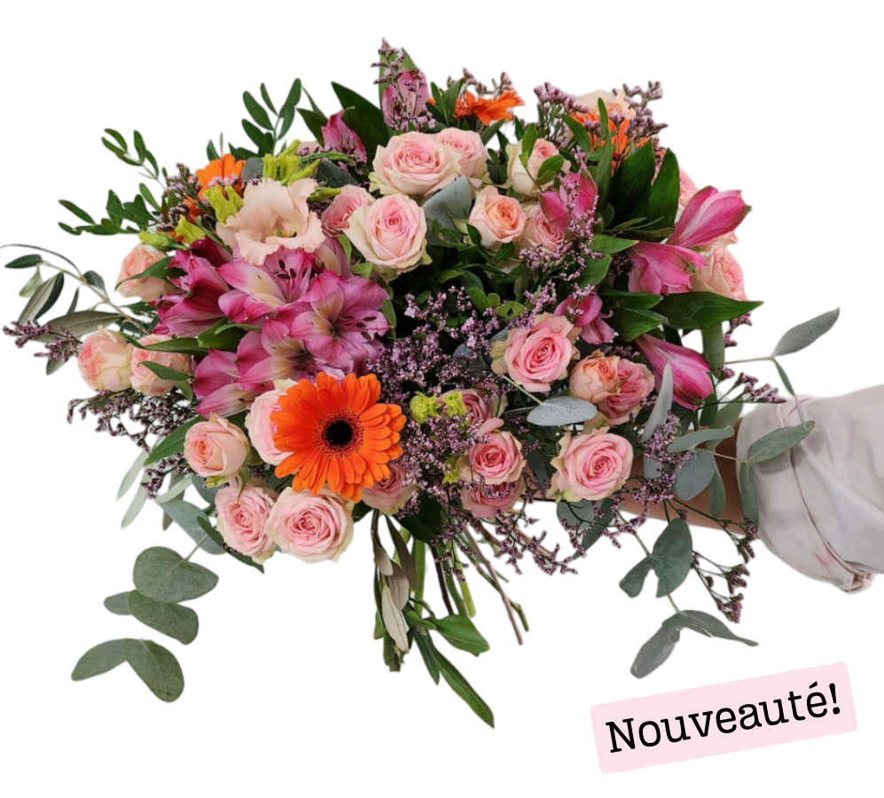 Le Poudré